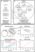 Cette figure est extraite du papier Fischer et al. Scientific Reports, 11(1), 1-16, 2021 (https://doi.org/10.1038/s41598-021-92833-5 )