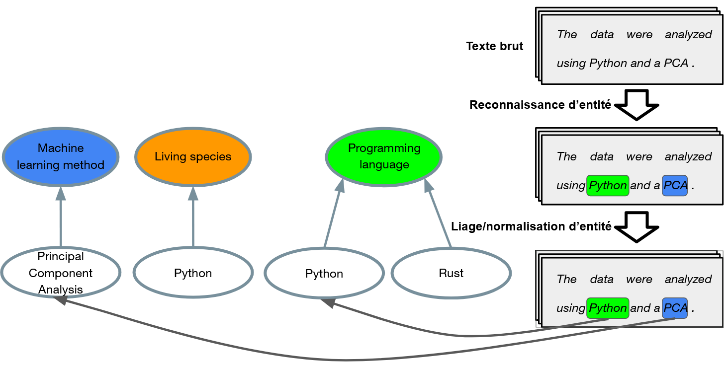 schéma de reconnaissance et de liage d'entités